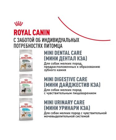 ROYAL CANIN Dry Mini Dermacomfort for small dogs 3 kg 2 pcs - Buy Online on GoSupps.com