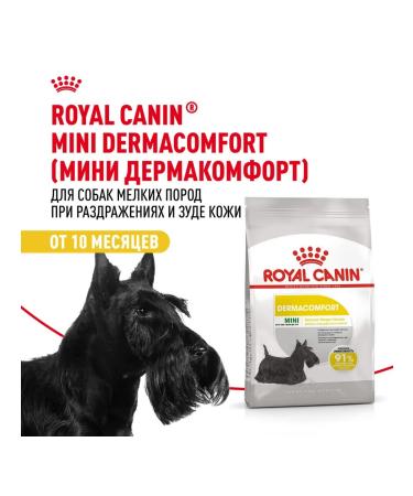 ROYAL CANIN Dry Mini Dermacomfort for small dogs 3 kg 2 pcs - Buy Online on GoSupps.com