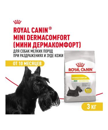 ROYAL CANIN Dry Mini Dermacomfort for small dogs 3 kg 2 pcs - Buy Online on GoSupps.com