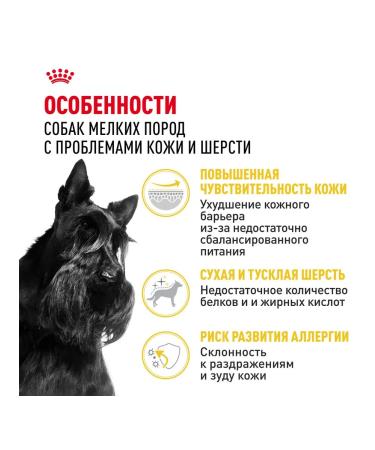 ROYAL CANIN Dry Mini Dermacomfort for small dogs 3 kg 2 pcs - Buy Online on GoSupps.com