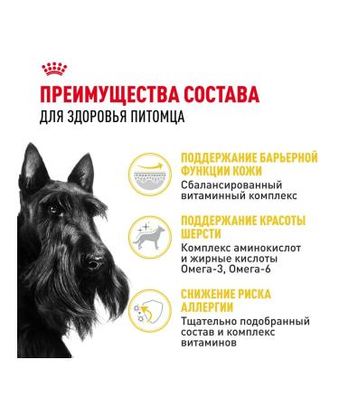 ROYAL CANIN Dry Mini Dermacomfort for small dogs 3 kg 2 pcs - Buy Online on GoSupps.com
