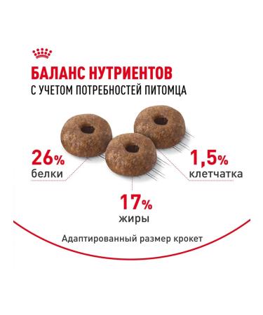 ROYAL CANIN Dry Mini Dermacomfort for small dogs 3 kg 2 pcs - Buy Online on GoSupps.com