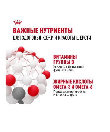 ROYAL CANIN Dry Mini Dermacomfort for small dogs 3 kg 2 pcs - Buy Online on GoSupps.com