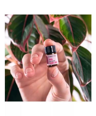 EvaBond Henna for eyebrows Professional biotual t-brown 2 ml - Buy Online on GoSupps.com