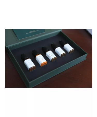 Queen Pigments by Marina Koroleva Mineral pigment for permanent eyebrow fabric 10 ml - Buy Online on GoSupps.com