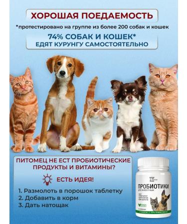 BASTION Vitamins for cats - Buy Online on GoSupps.com