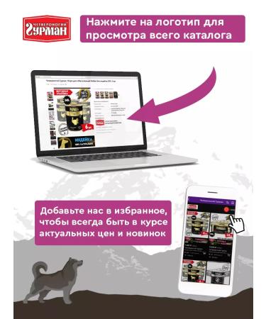 Four-legged Gourmet Dog food moist with heart 850 g 6 pcs - Buy Online on GoSupps.com