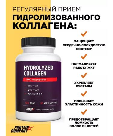 PROTEINCOMPANY Collagen peptides + hyaluronic acid 120 capsules - Buy Online on GoSupps.com