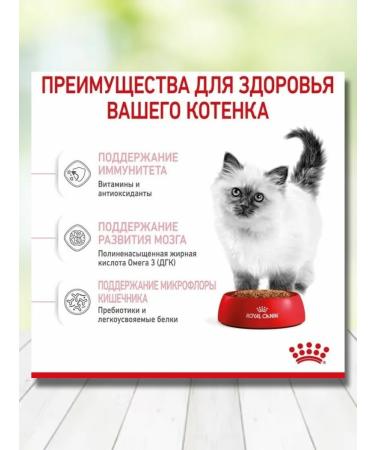 ROYAL CANIN Dry food for kittens of all rocks 2 kg - Buy Online on GoSupps.com