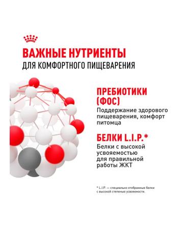 ROYAL CANIN Dry food for cats with food allergies Sensible 0.4 kg - Buy Online on GoSupps.com