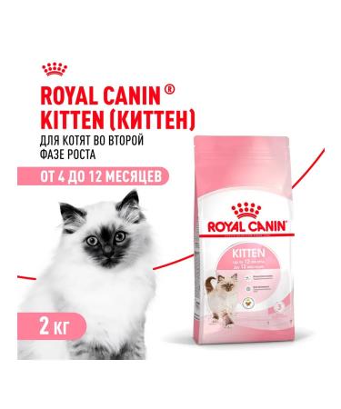 ROYAL CANIN Dry Kitten 36 food for kittens 2 kg 2 pcs - Buy Online on GoSupps.com