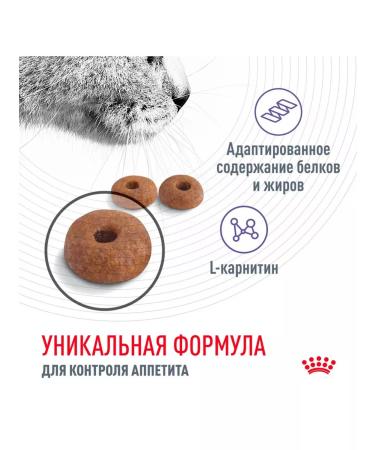 ROYAL CANIN Dry Appetite Control Care for cats 2 kg 2 pcs - Buy Online on GoSupps.com