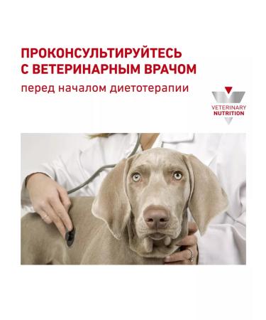 ROYAL CANIN Dry Hepatic HF16 food for dogs hepatic 1.5 kg 2 pcs - Buy Online on GoSupps.com