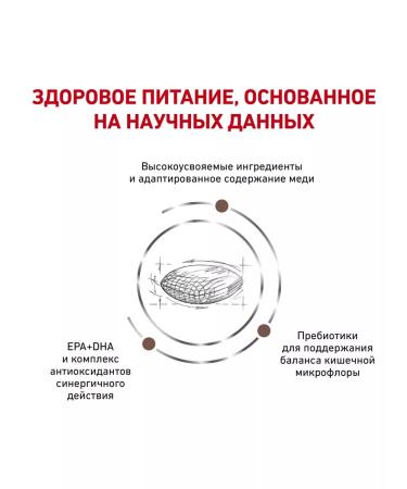 ROYAL CANIN Dry Hepatic HF16 food for dogs hepatic 1.5 kg 2 pcs - Buy Online on GoSupps.com