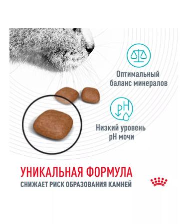 ROYAL CANIN Dry food for cats Urinary Care 0.4 kg - Buy Online on GoSupps.com