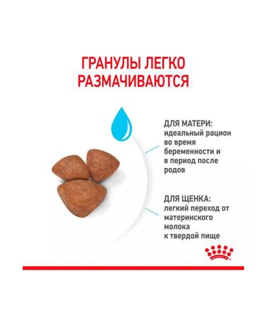 ROYAL CANIN Dry Mini Starter food small puppies mini starter 3 kg 2 pcs - Buy Online on GoSupps.com