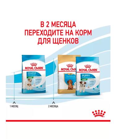 ROYAL CANIN Dry Mini Starter food small puppies mini starter 3 kg 2 pcs - Buy Online on GoSupps.com