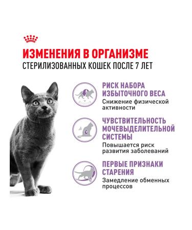 ROYAL CANIN Sterilated 7+ food of elderly sterilized cats 3.5 kg 2 pcs - Buy Online on GoSupps.com