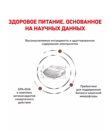 ROYAL CANIN GastroinTestinal food for cats gastrointestinal 2 kg 2 pcs - Buy Online on GoSupps.com