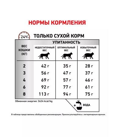 ROYAL CANIN GastroinTestinal food for cats gastrointestinal 2 kg 2 pcs - Buy Online on GoSupps.com