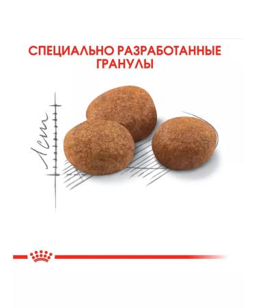 ROYAL CANIN Sterilized 7+ food of elderly sterilized cats 1.5 kg 2 pcs - Buy Online on GoSupps.com
