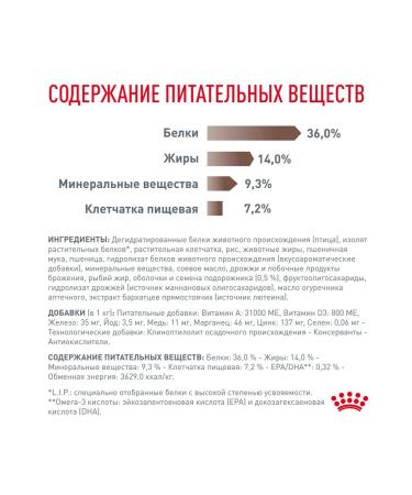 ROYAL CANIN Dry gastrointestinal hairball food for cats 2 kg 2 pcs - Buy Online on GoSupps.com