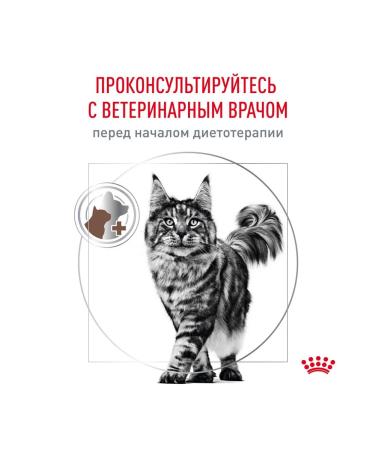 ROYAL CANIN Dry gastrointestinal hairball food for cats 2 kg 2 pcs - Buy Online on GoSupps.com