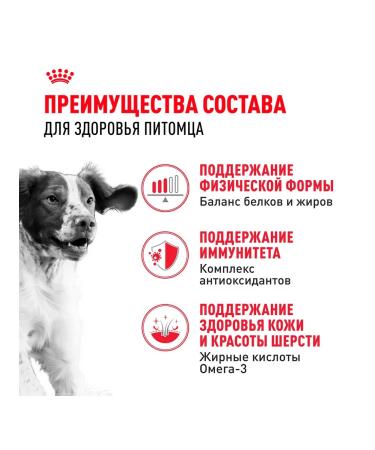 ROYAL CANIN Dry Medium Adult for dog dogs 3 kg 2 pcs - Buy Online on GoSupps.com