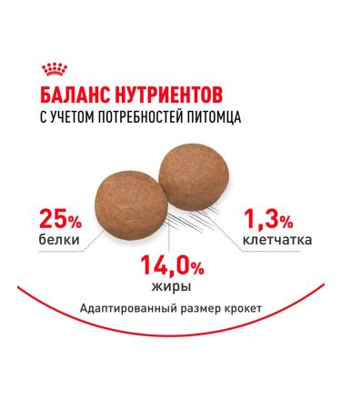 ROYAL CANIN Dry Medium Adult for dog dogs 3 kg 2 pcs - Buy Online on GoSupps.com