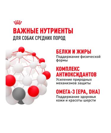 ROYAL CANIN Dry Medium Adult for dog dogs 3 kg 2 pcs - Buy Online on GoSupps.com