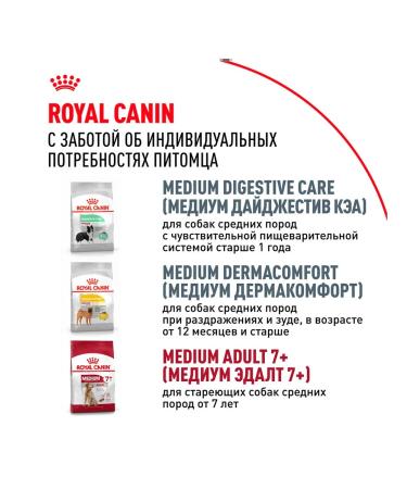 ROYAL CANIN Dry Medium Adult for dog dogs 3 kg 2 pcs - Buy Online on GoSupps.com