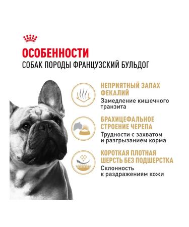 ROYAL CANIN Dry French Bulldog Feed for dogs Bulldog 3 kg 2 pcs - Buy Online on GoSupps.com