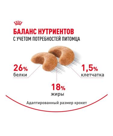 ROYAL CANIN Dry French Bulldog Feed for dogs Bulldog 3 kg 2 pcs - Buy Online on GoSupps.com