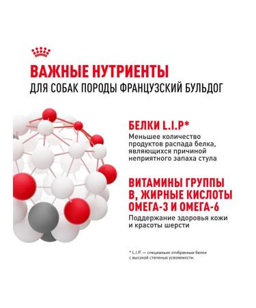 ROYAL CANIN Dry French Bulldog Feed for dogs Bulldog 3 kg 2 pcs - Buy Online on GoSupps.com