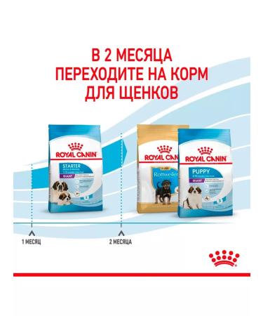 ROYAL CANIN Dry food Giant Starter for puppies of large rocks 4 kg 2 pcs - Buy Online on GoSupps.com