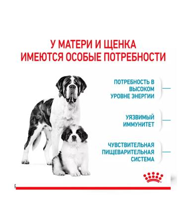 ROYAL CANIN Dry food Giant Starter for puppies of large rocks 4 kg 2 pcs - Buy Online on GoSupps.com