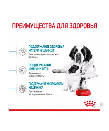 ROYAL CANIN Dry food Giant Starter for puppies of large rocks 4 kg 2 pcs - Buy Online on GoSupps.com