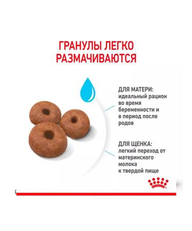 ROYAL CANIN Dry food Giant Starter for puppies of large rocks 4 kg 2 pcs - Buy Online on GoSupps.com