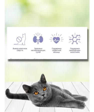 Brit Dry food for cats to remove wool 1.5 kg - Buy Online on GoSupps.com