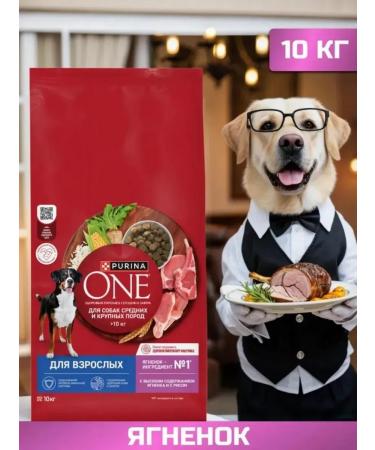PURINA ONE Dry food for dogs with lamb 10 kg