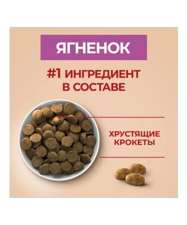 PURINA ONE Dry food for dogs with lamb 10 kg - Buy Online on GoSupps.com