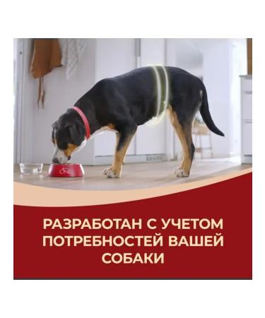 PURINA ONE Dry food for dogs with lamb 10 kg - Buy Online on GoSupps.com