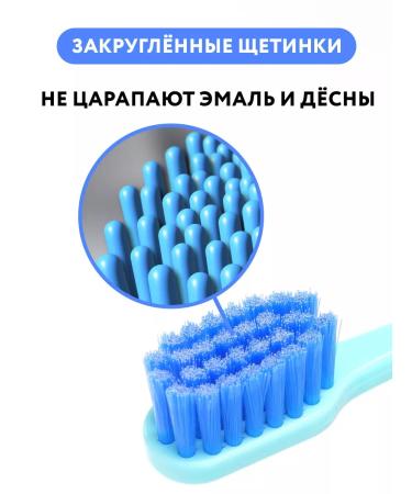 Revyline Family Pack 6 pcs - Buy Online on GoSupps.com