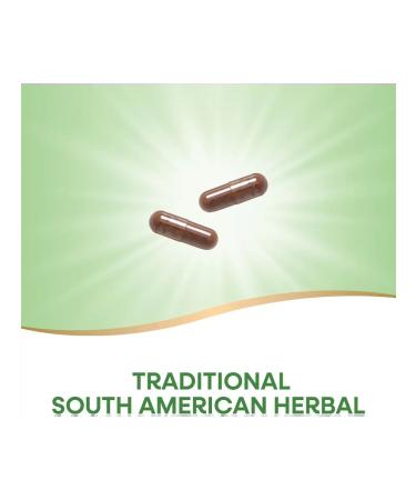 Nature's Way Ant Tree bark Pau d'Arco 180 capsules - Buy Online on GoSupps.com