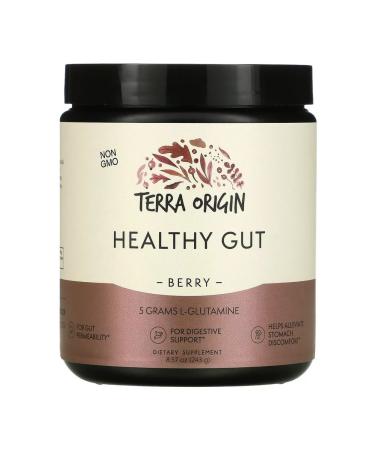 Terra origin Healthy GUT additive berry taste 243 g