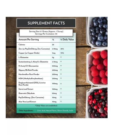Terra origin Healthy GUT additive berry taste 243 g - Buy Online on GoSupps.com