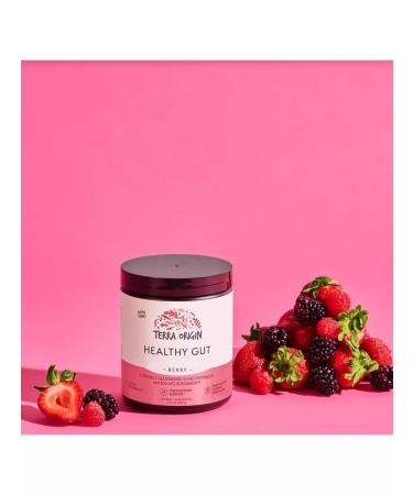 Terra origin Healthy GUT additive berry taste 243 g - Buy Online on GoSupps.com