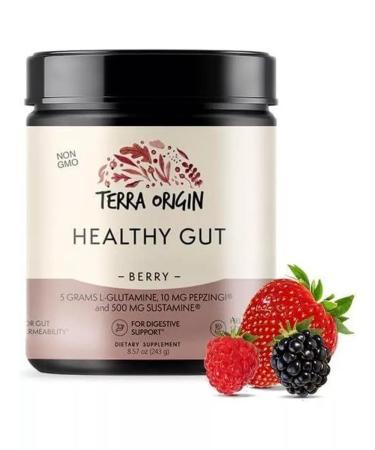 Terra origin Healthy GUT additive berry taste 243 g - Buy Online on GoSupps.com