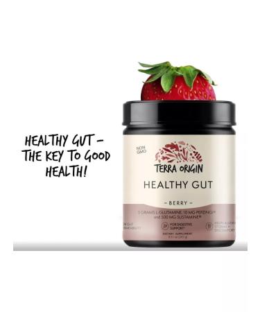 Terra origin Healthy GUT additive berry taste 243 g - Buy Online on GoSupps.com