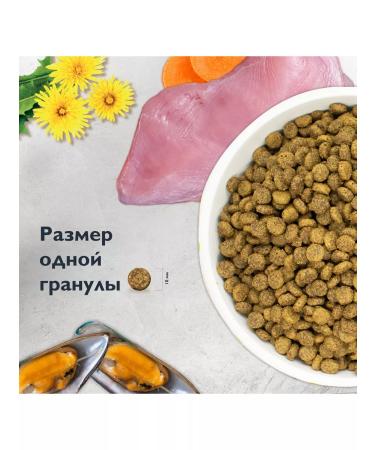 Brit Care Brit Superpremium Care with turkey and duck for cats 1.5 kg - Buy Online on GoSupps.com